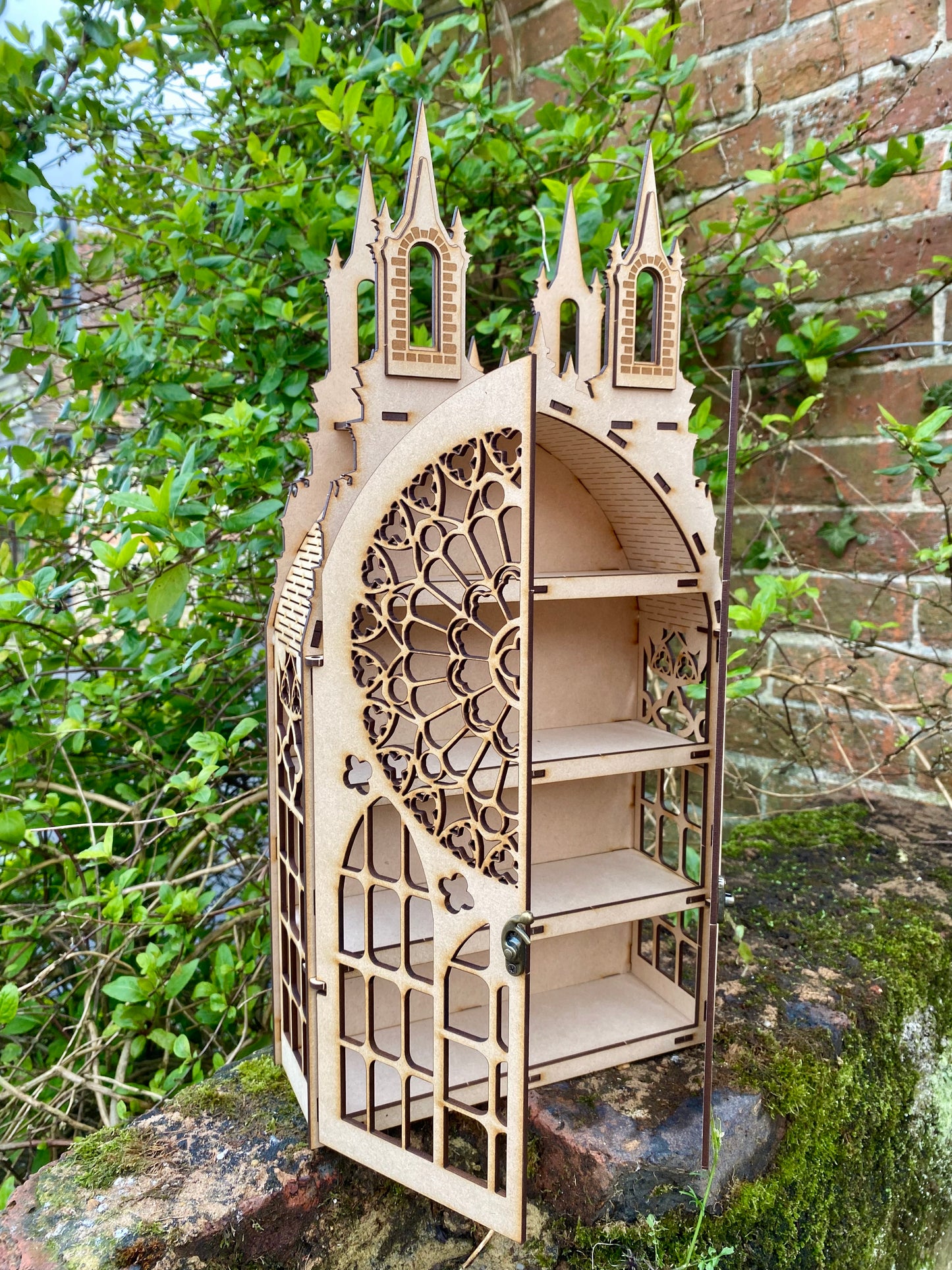 Gothic Dispaly Cabinet : Gothic Decor