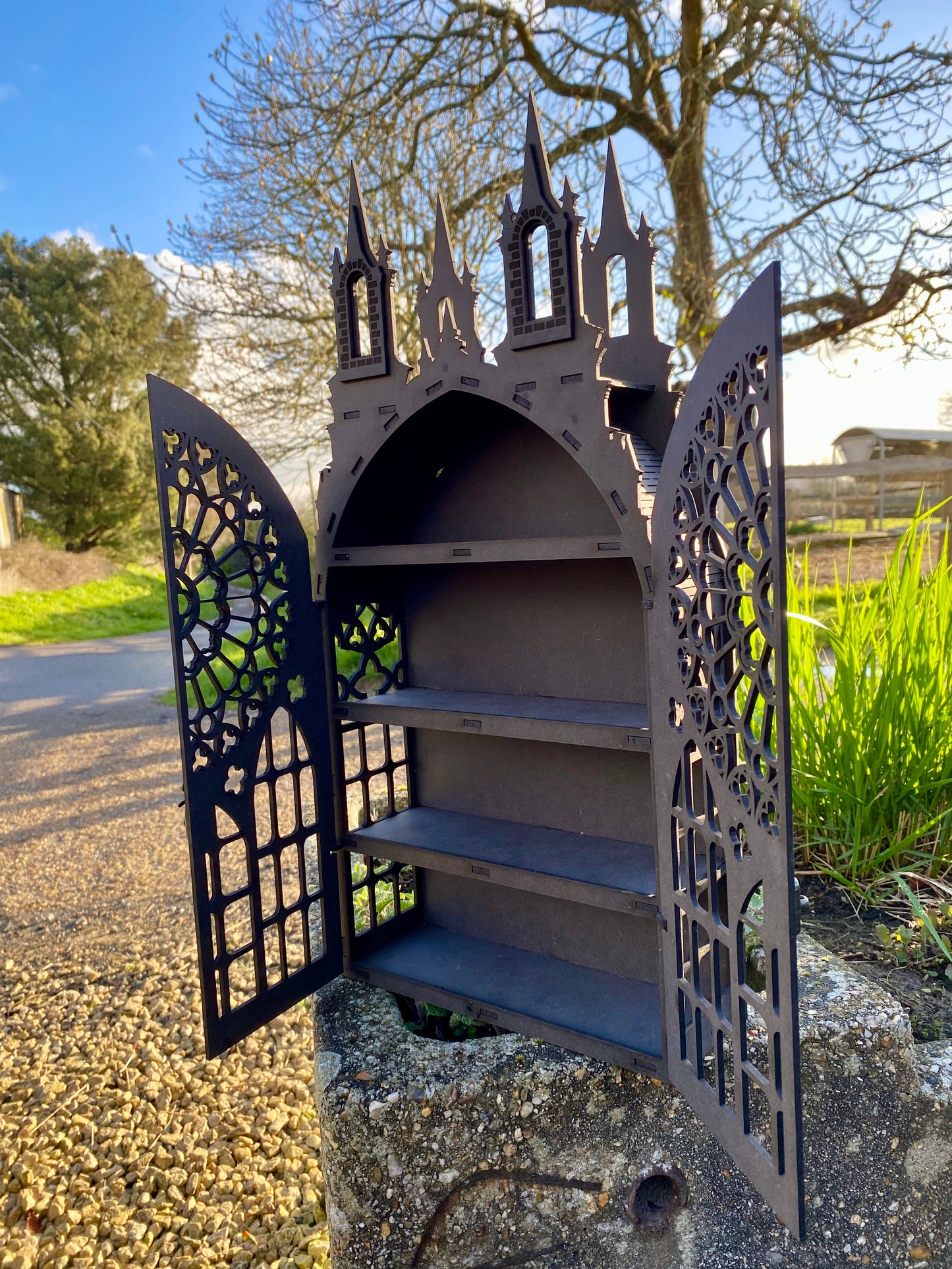 Gothic Dispaly Cabinet: Gothic Decor