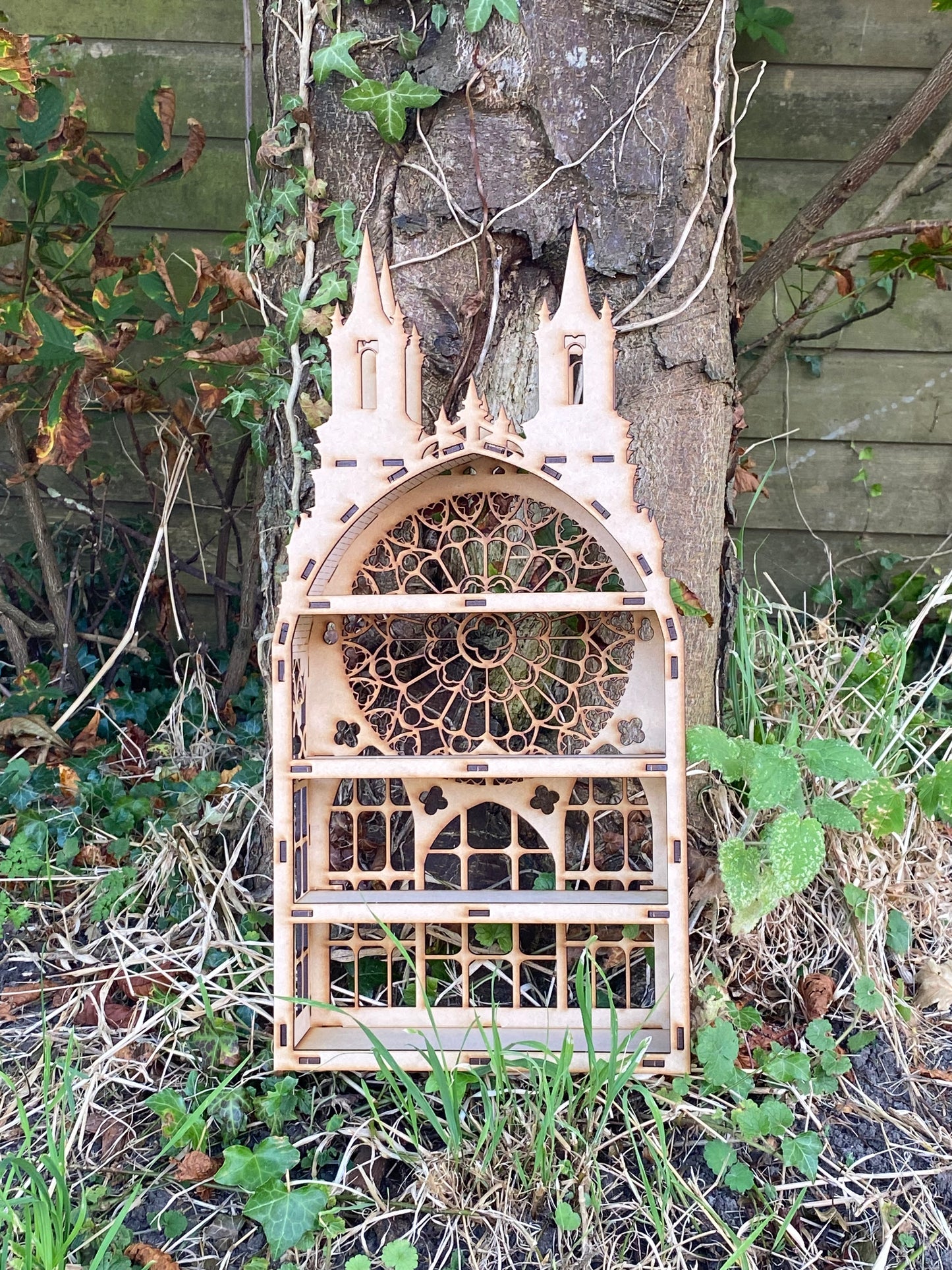 Gothic Display Shelf : Gothic Decor