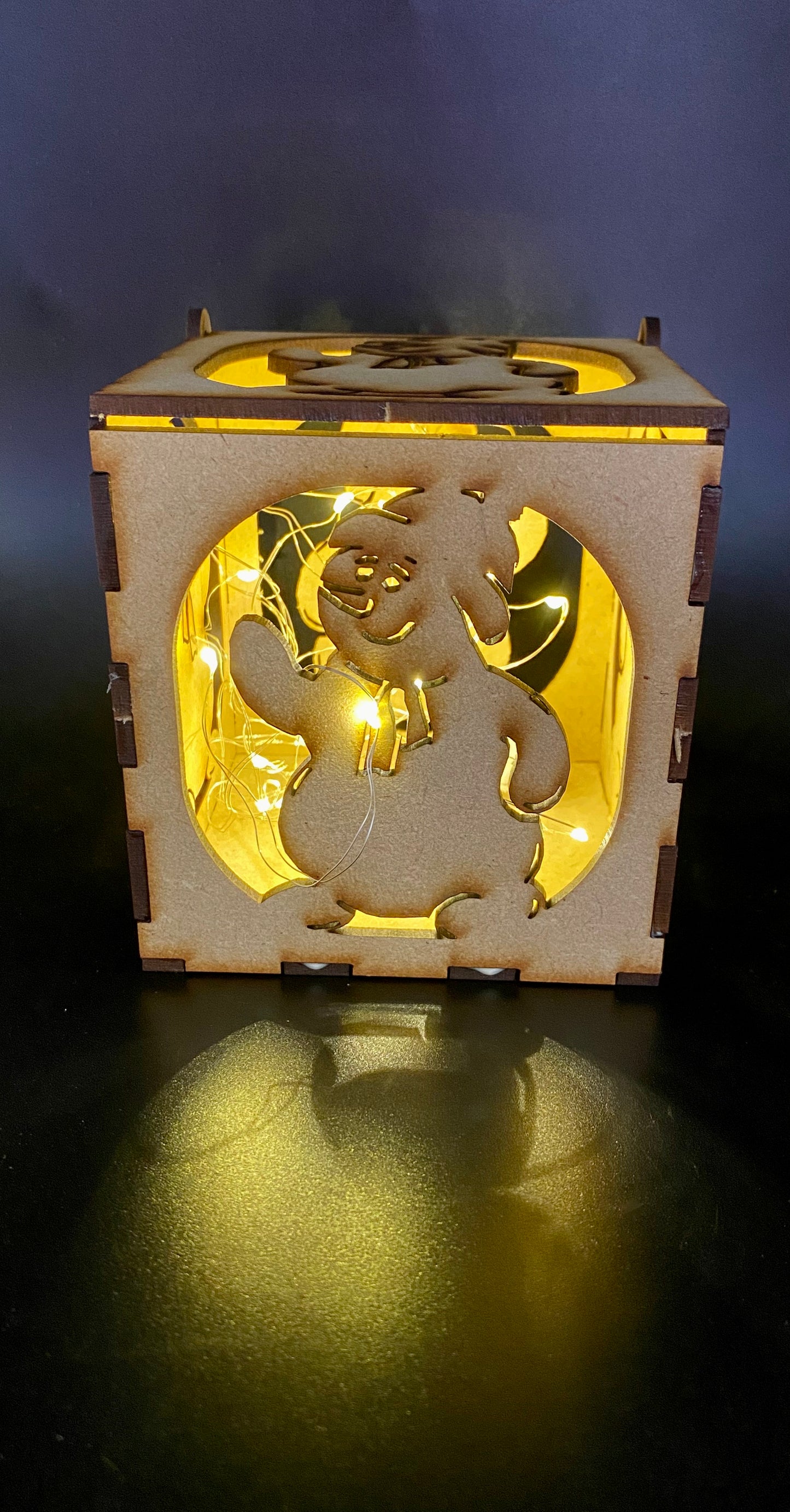 Set of 5 Christmas Night Light/Shadow boxes complete with led lights.