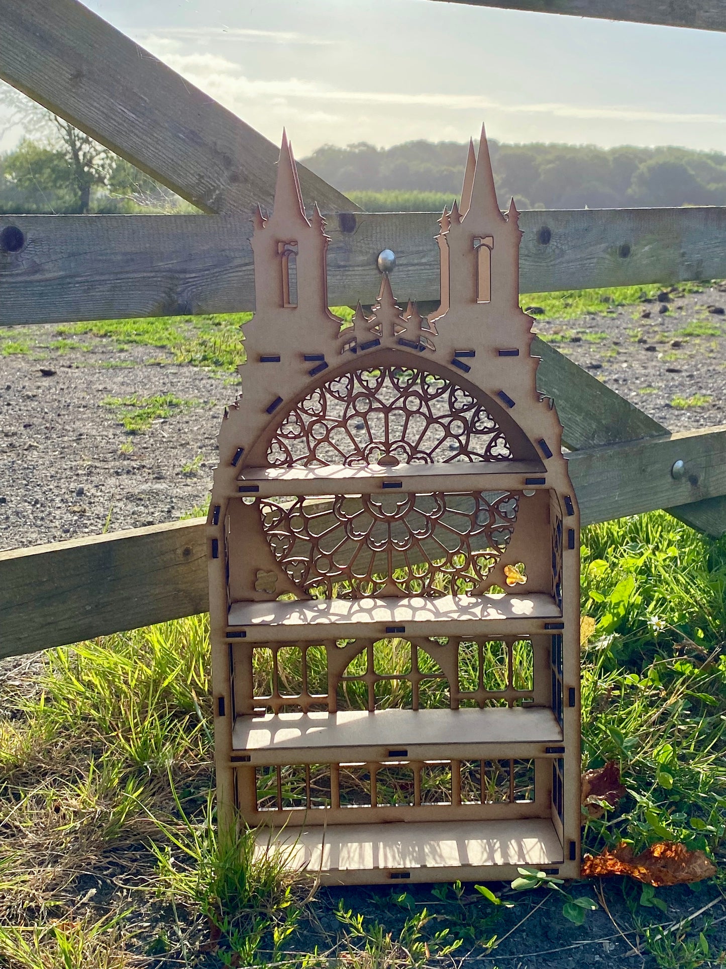 Gothic Display Shelf : Gothic Decor