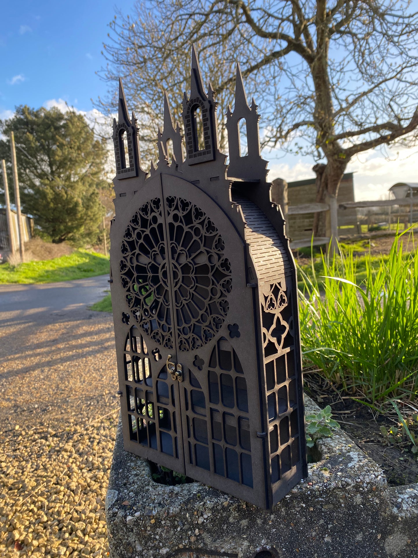 Gothic Dispaly Cabinet: Gothic Decor