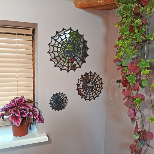 Spiders Web Mirror