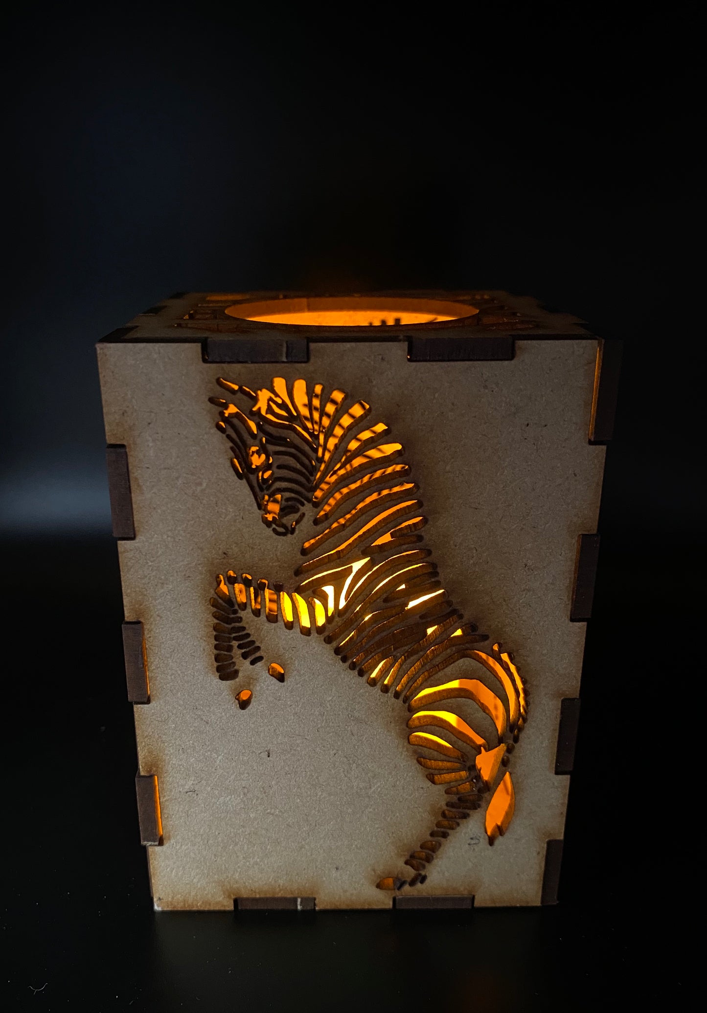 Zebra Lantern MDF Craft Kit - Small