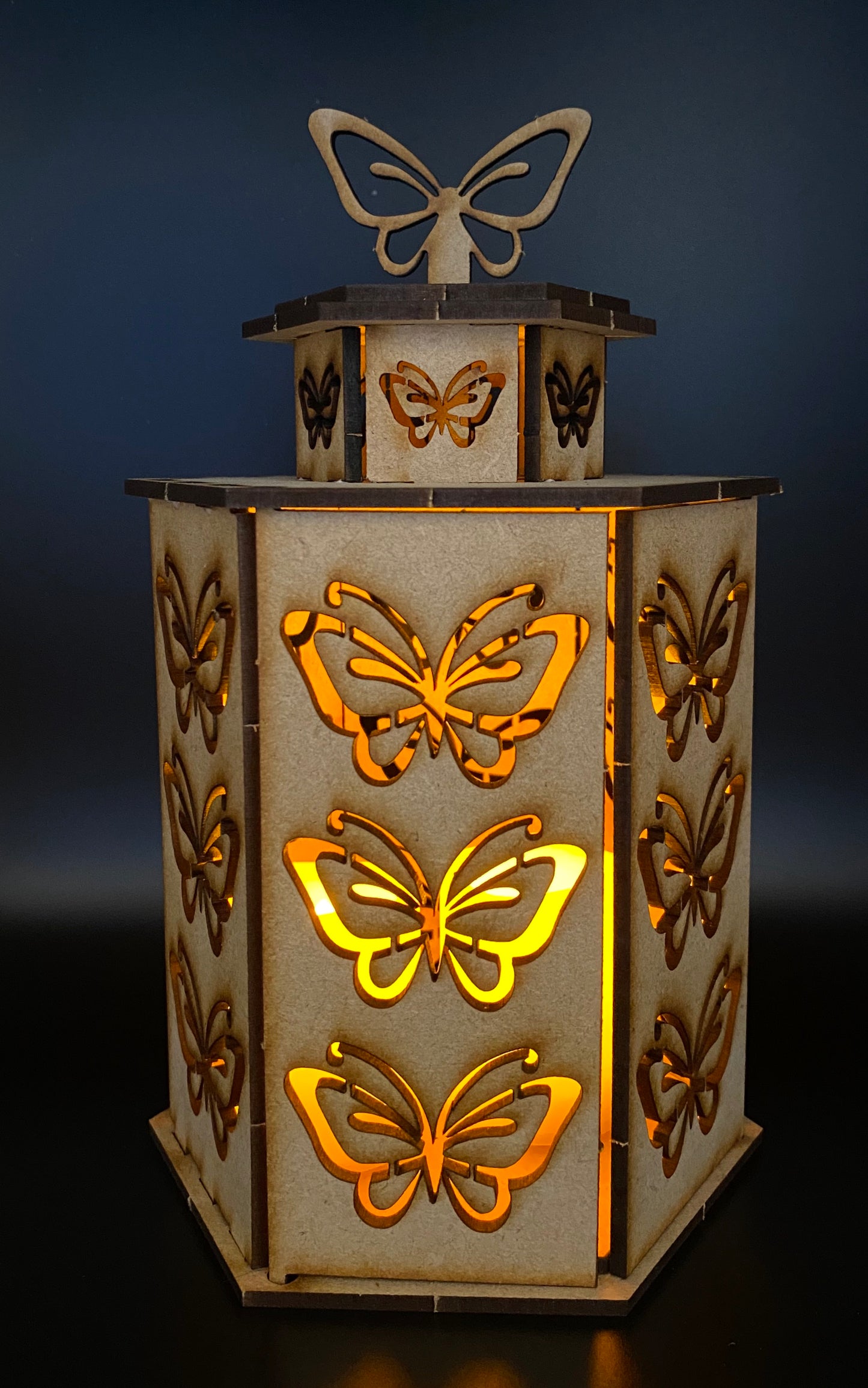 Butterflies Lantern MDF Craft Kit-Large