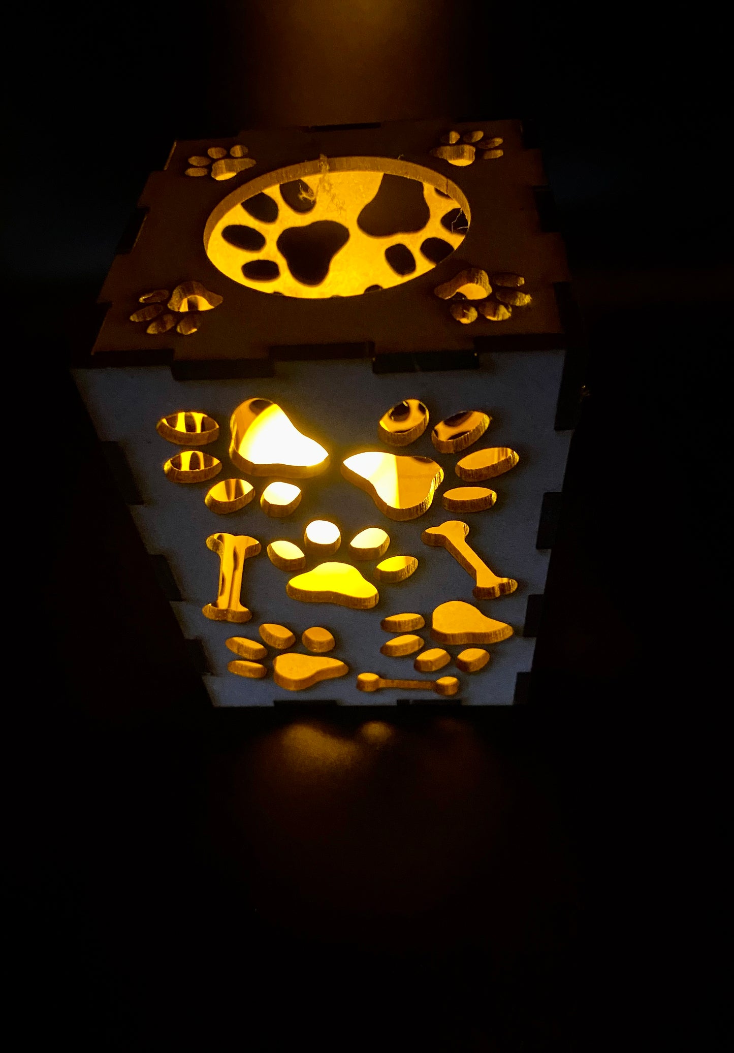 Dog Paw Print with Little Bones Lantern MDF Craft Kit - Small